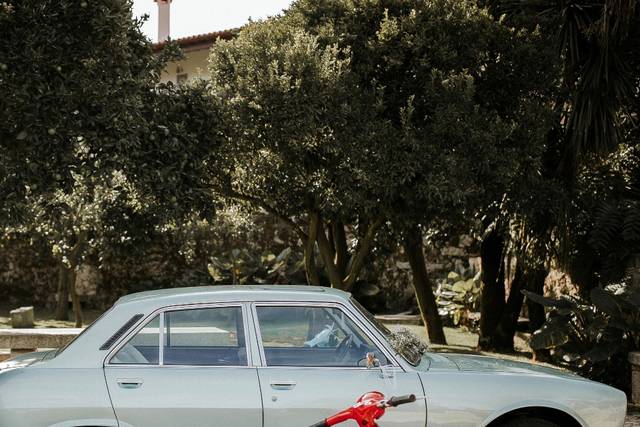 Peugeot 504