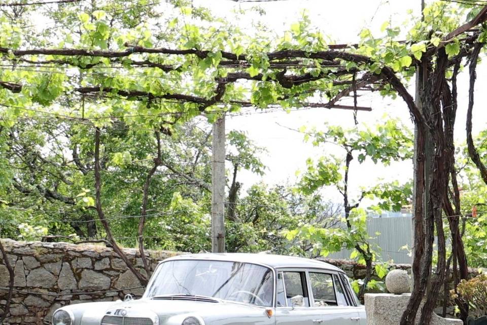 Mercedes 190D