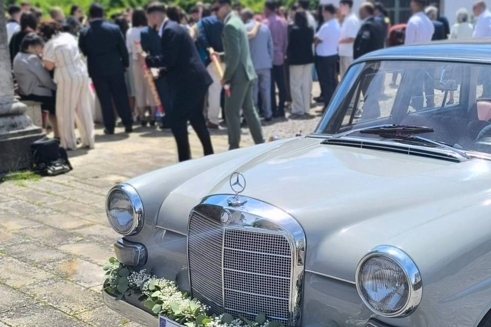 Mercedes W110
