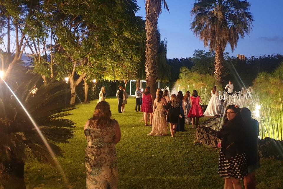 Evento nocturno jardim