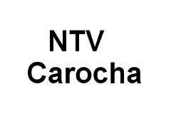 NTV Carocha logo