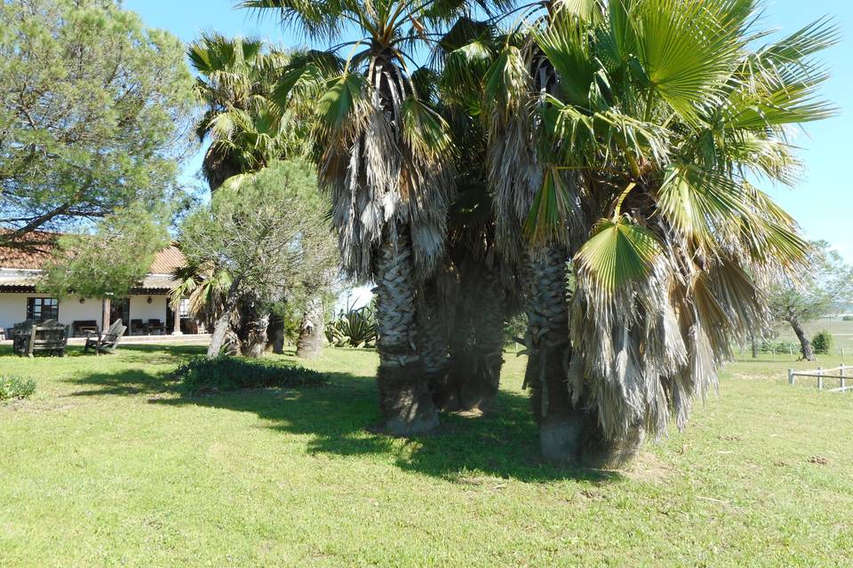 Lodge Monte Do Sobral