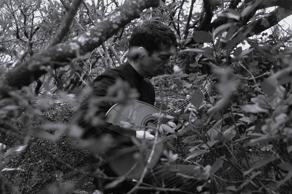 Floresta