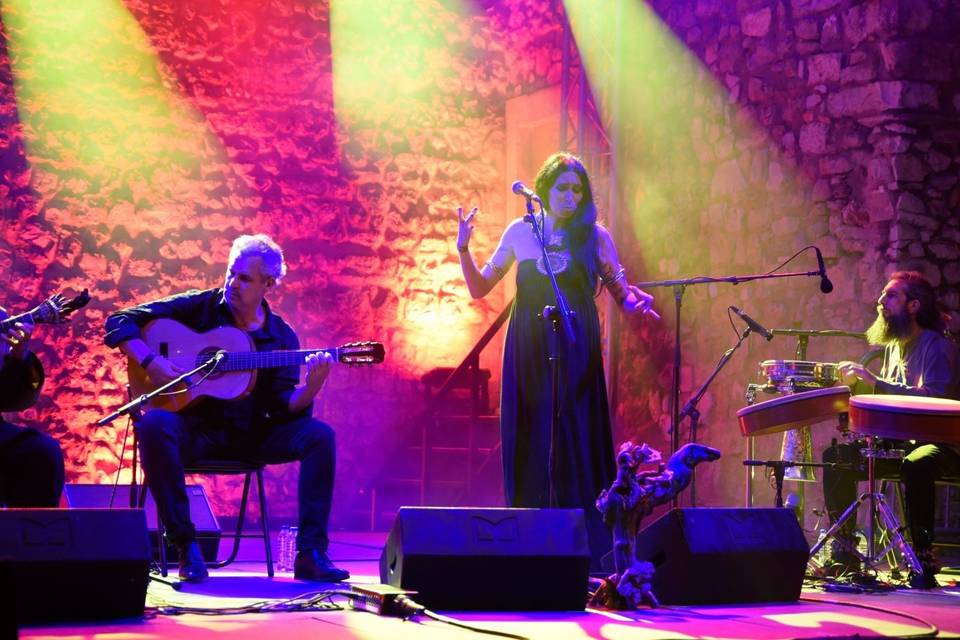 Festival MED