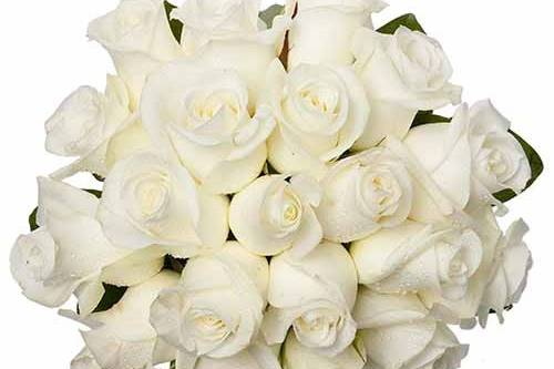 Bouquet Noiva - Rosas