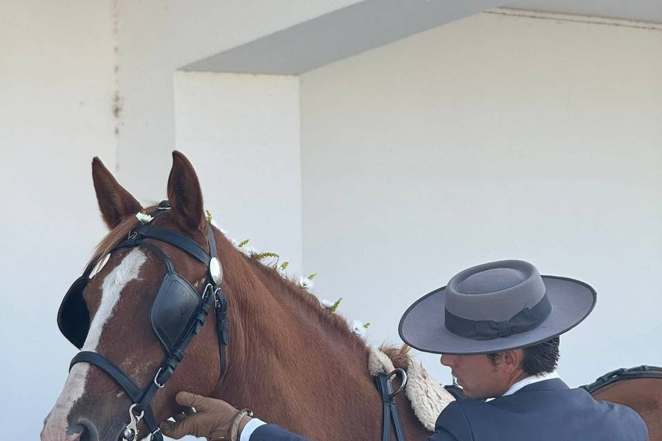 Cocheiro a rigor
