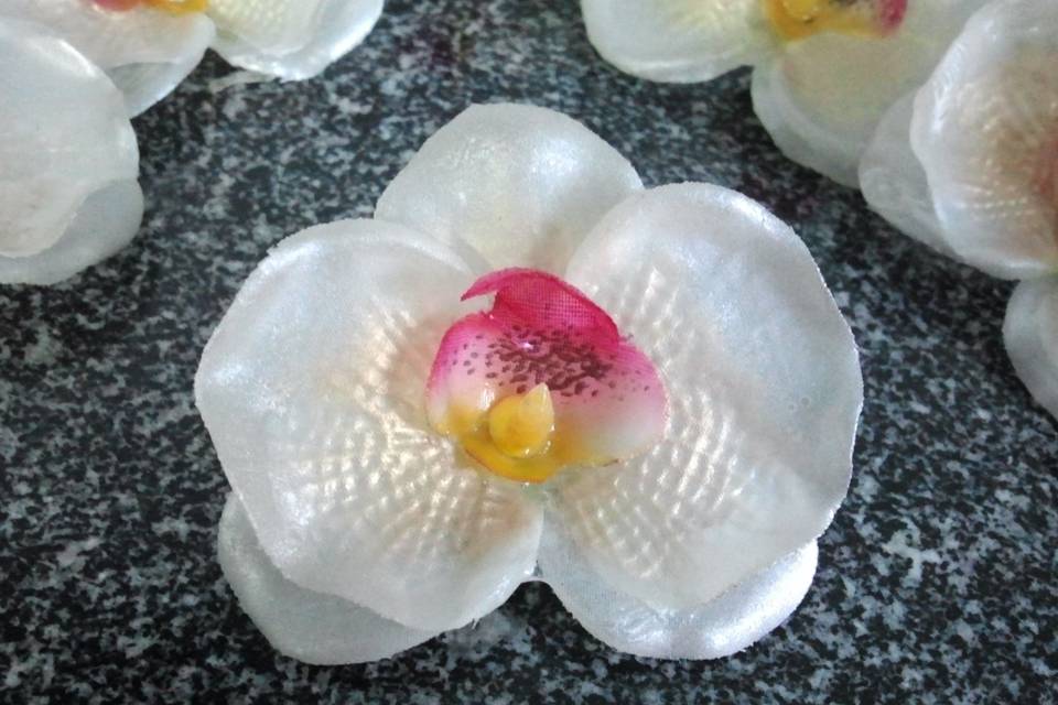 Orquídeas com glicerina