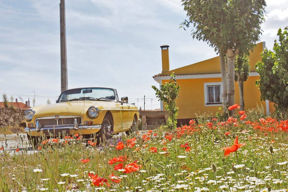 Let's Kombi - VW Pão de Forma & Classic Cars