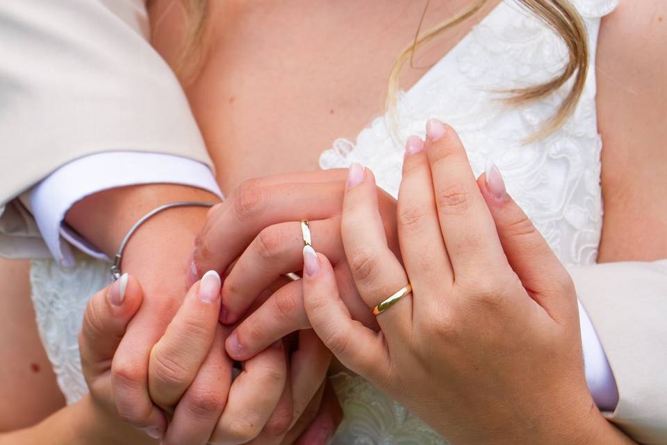 Hold my hand