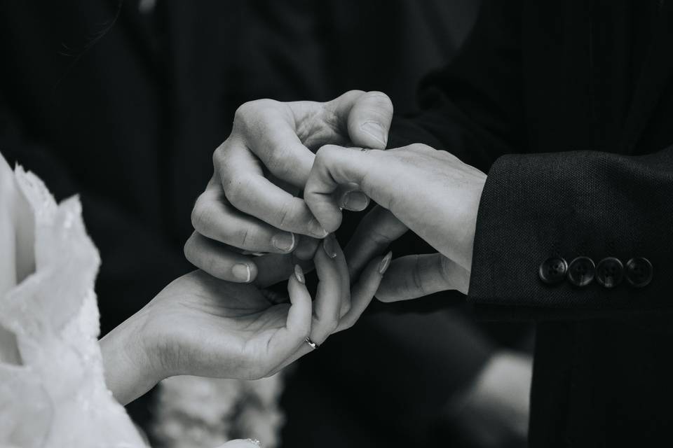 Karla & João 2026