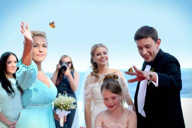 Casamento com borboletas