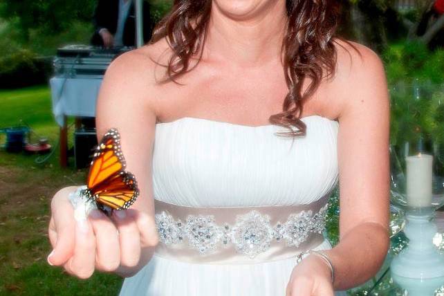 Casamento com borboletas