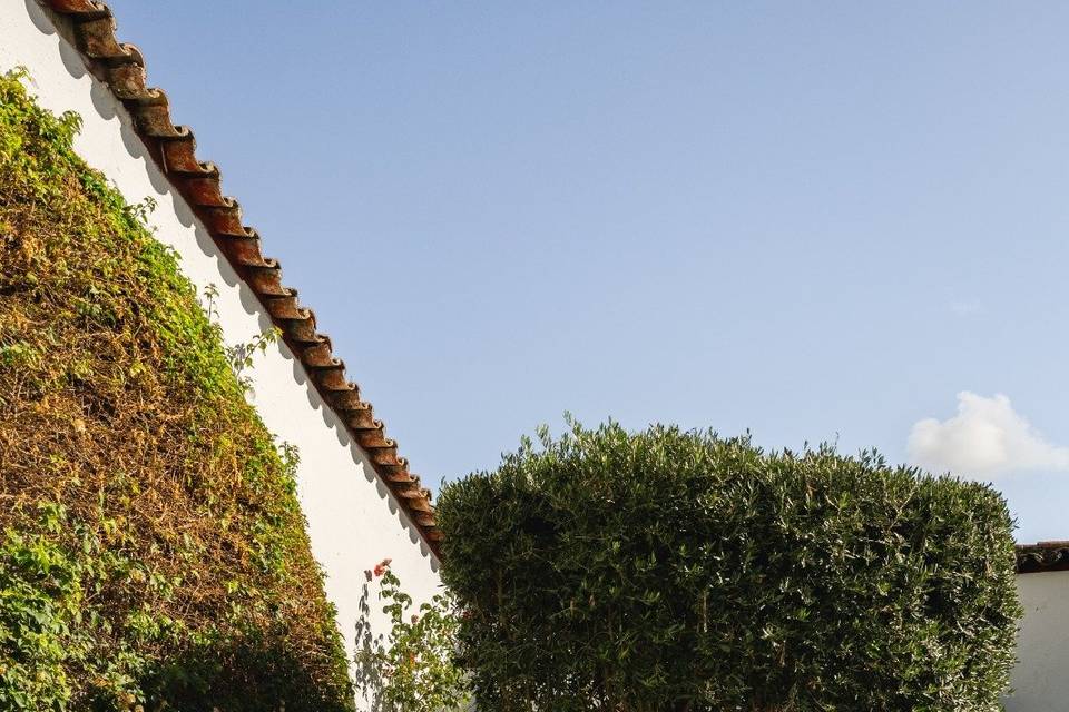 Casa dos Condes - Exterior IV