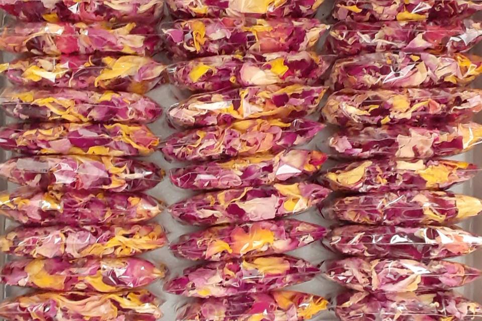 Infusões de Rosas