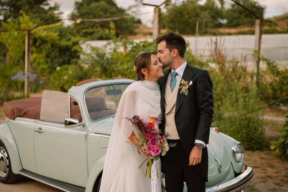 Let’s Get Married