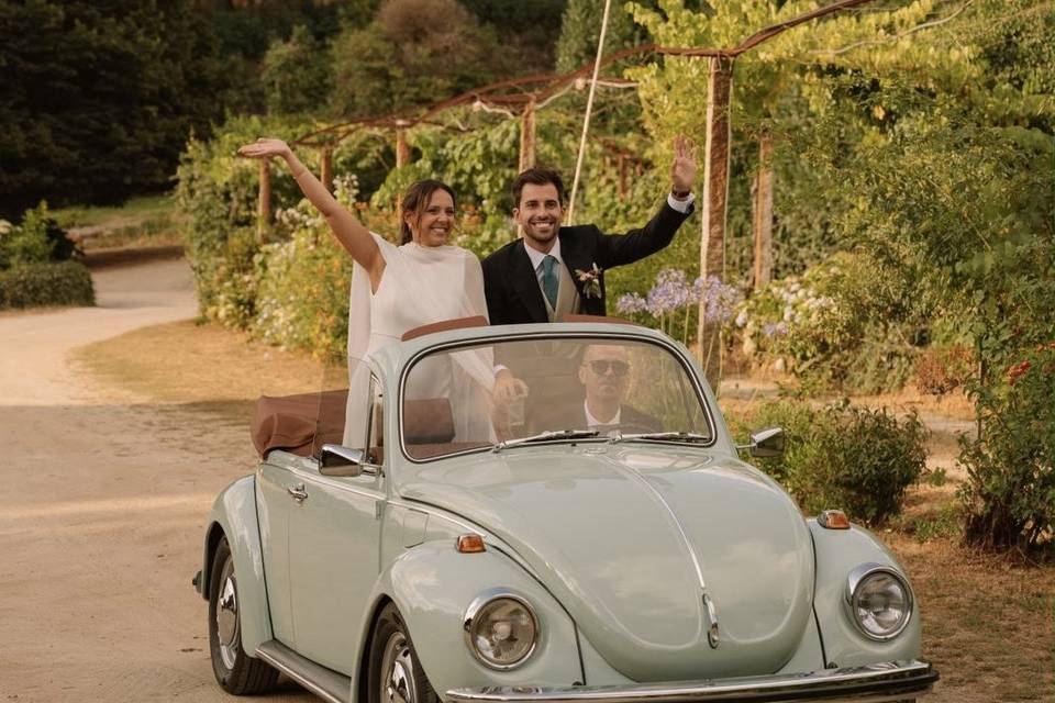 Let’s Get Married