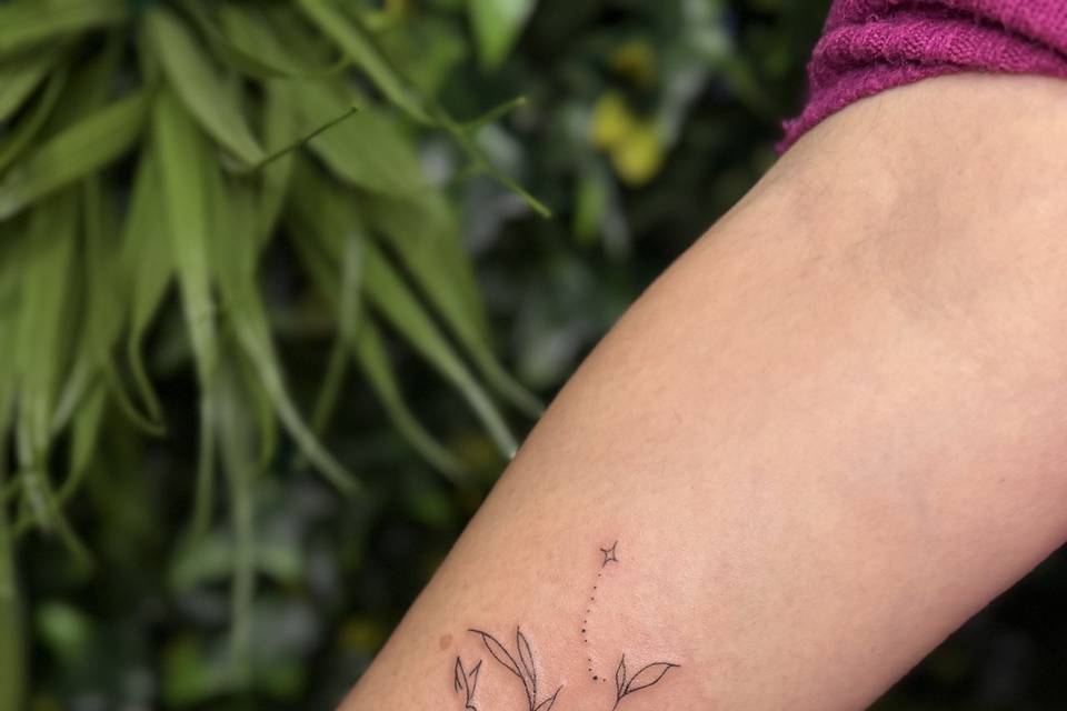 Sobre signos e sermos livres🦋