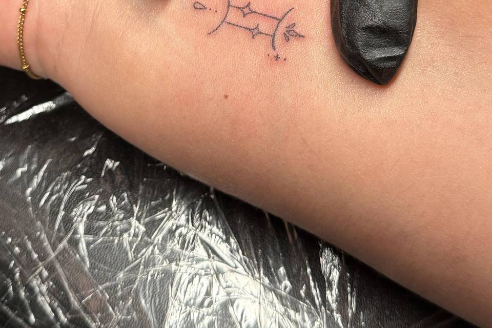 ✨