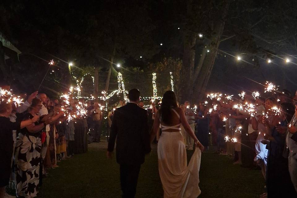 ✨