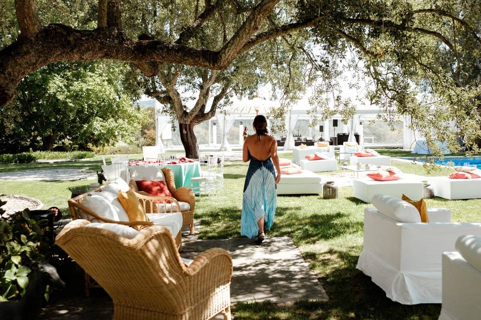 Vista Casamento Jardim