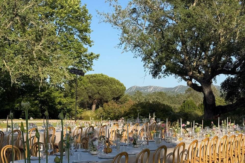 Vista Casamento Jardim