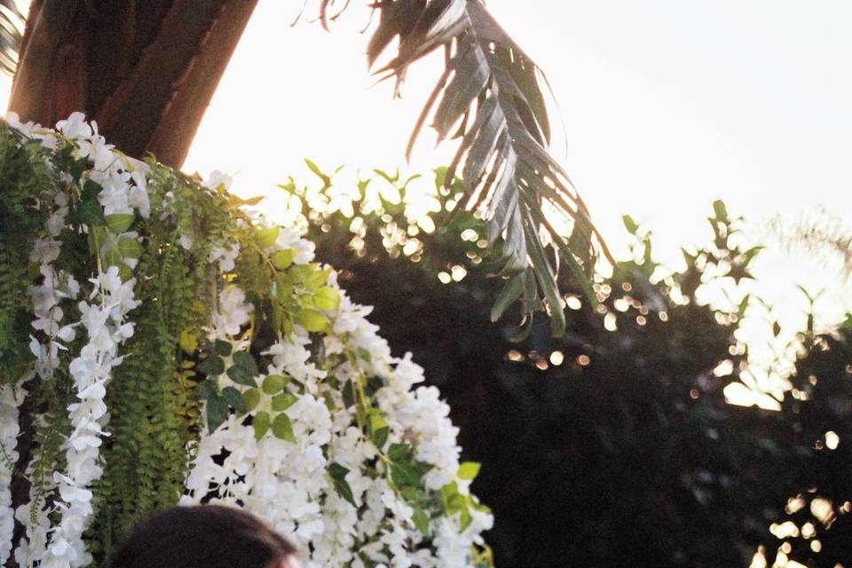 Fotografia analógica - 35 mm