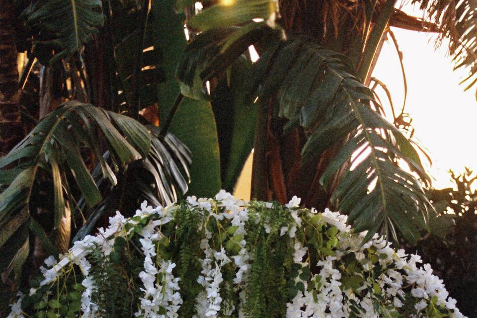 Fotografia analógica - 35 mm