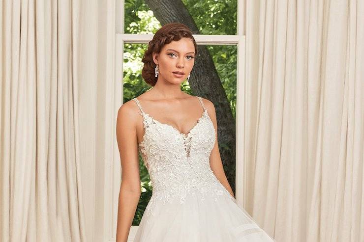 Y21989 Sophia Tolli