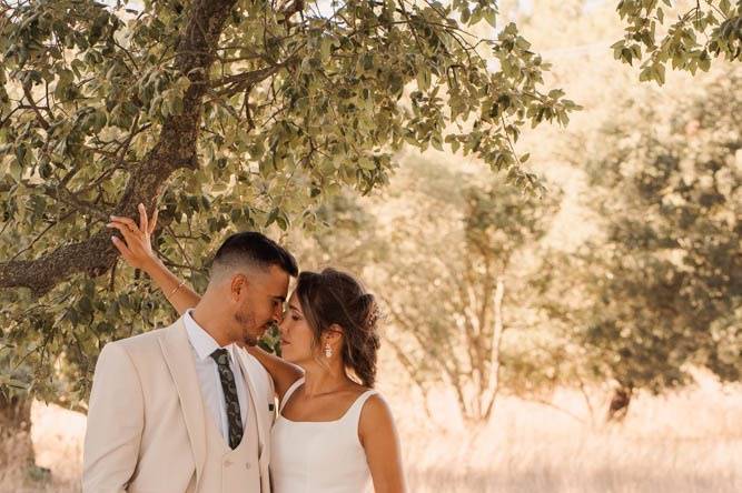 Wedding Planner Liliana Aiveca