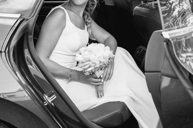 Wedding Planner Liliana Aiveca