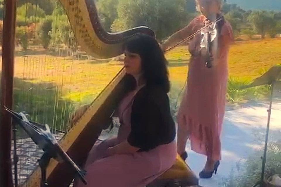 Casamento Violino e Harpa