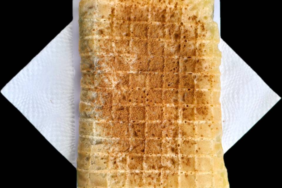 Tripa
