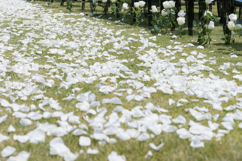 Wedding Aisle
