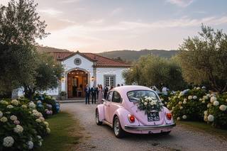 Rosebeetle