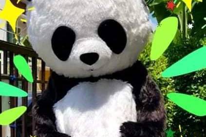 Mascote panda