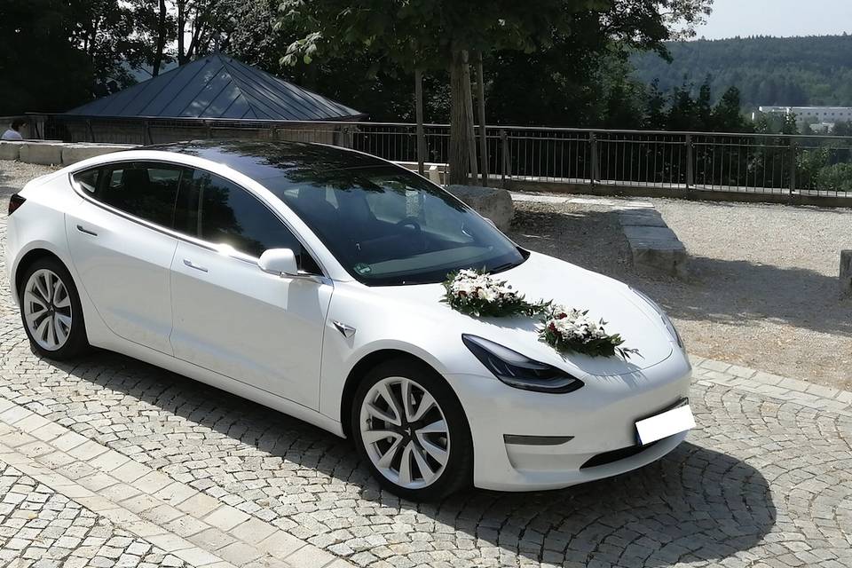 TeslaOporto
