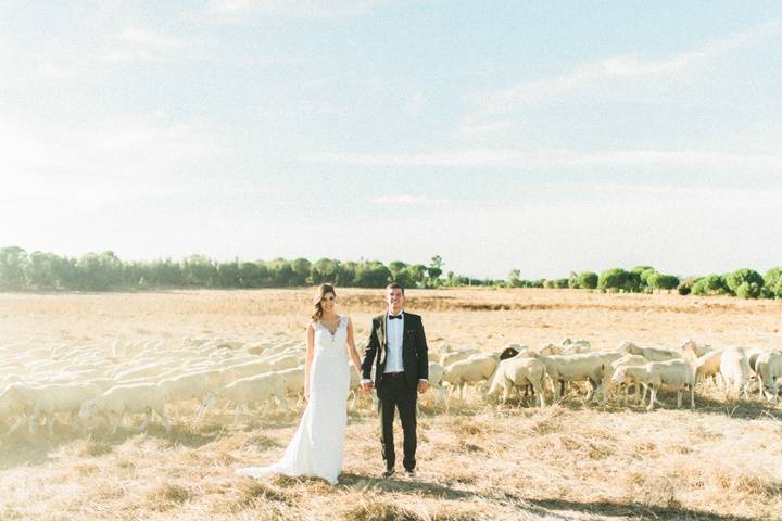 Casamento no Campo