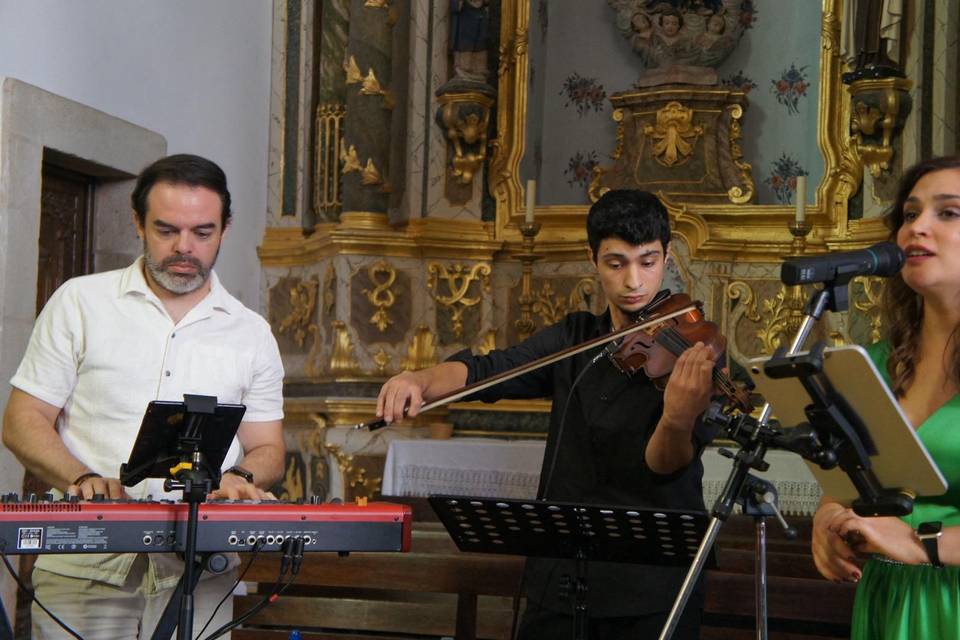 Ribeira de Pena 2025