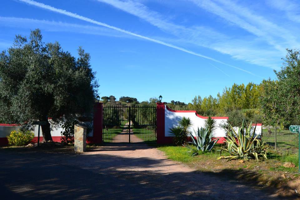 Quinta da Pureza