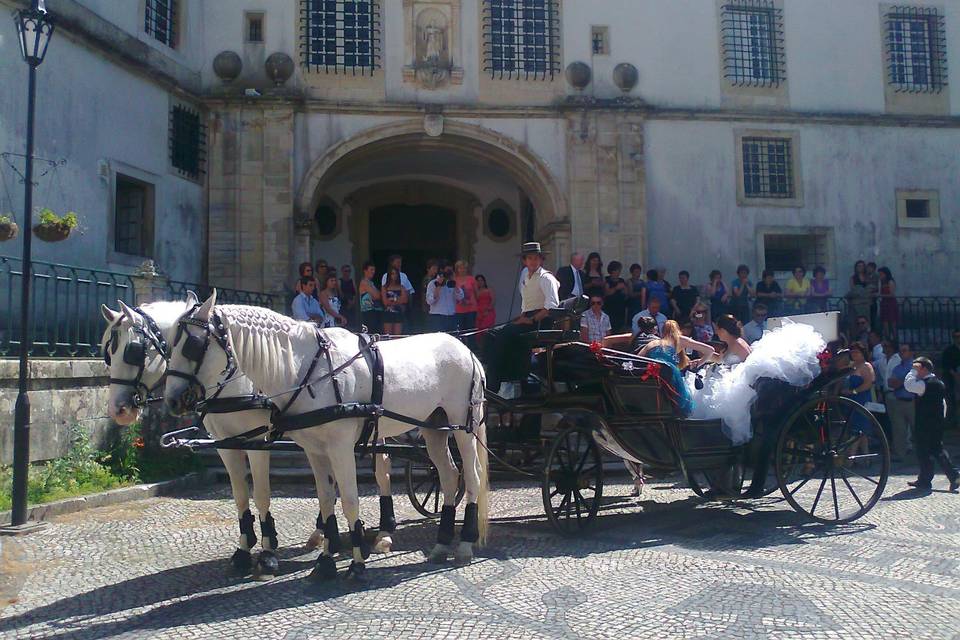 Coimbra 2012