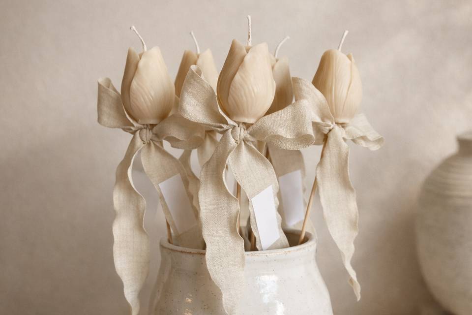 Vela tulipa