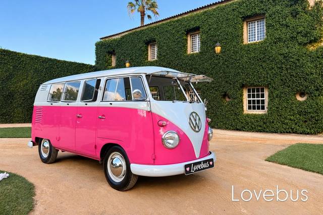 Pão de Forma e Carochas - Lovebus