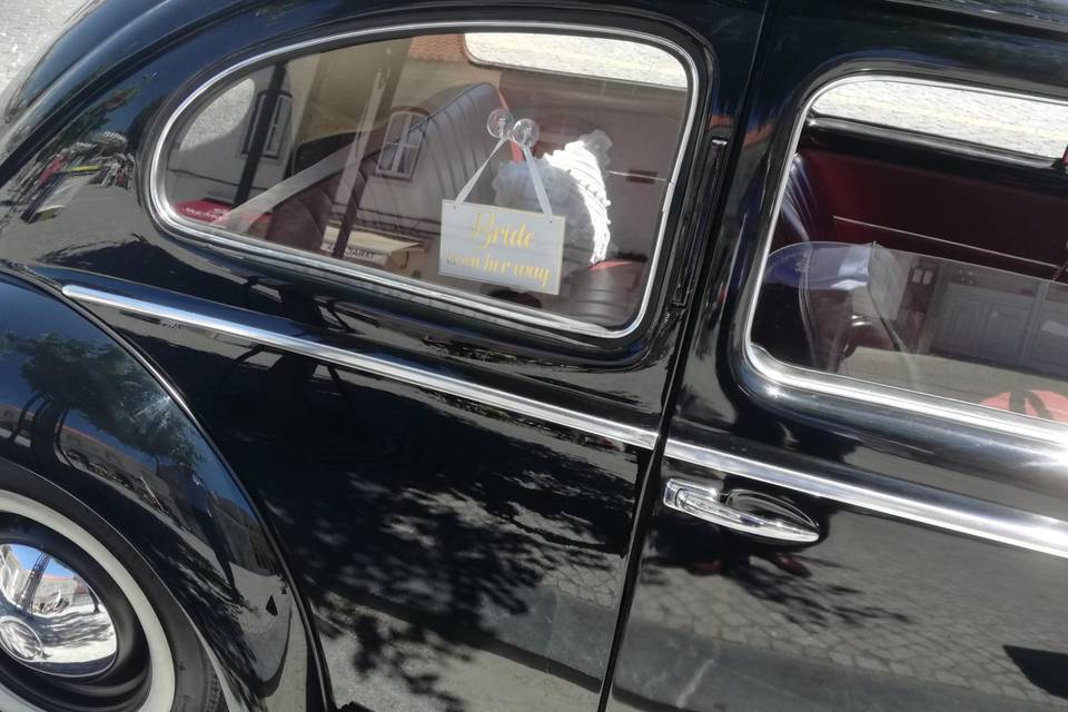 Carocha oval de 1955