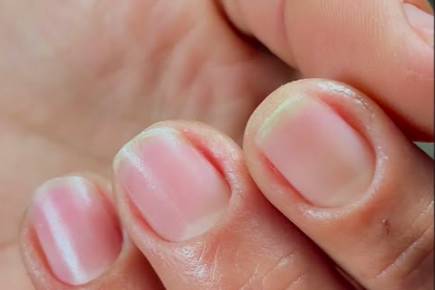Manicure c,  cuticulagem russa