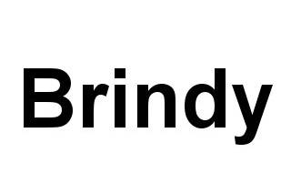 Brindy logo