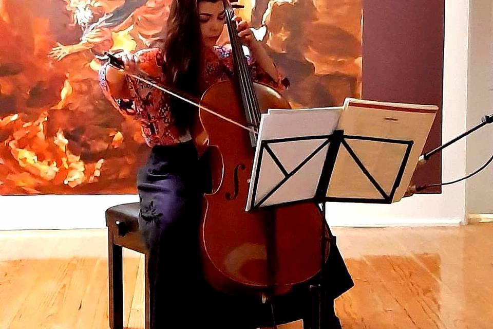 Ana Monteiro Violoncelo - Artes & Música