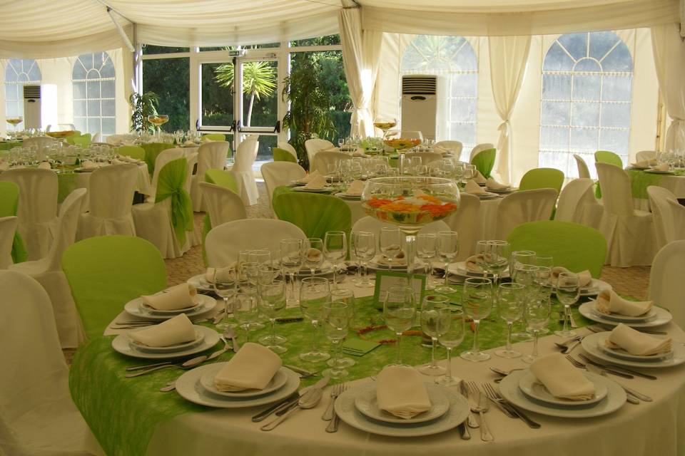 Sala decoração verde