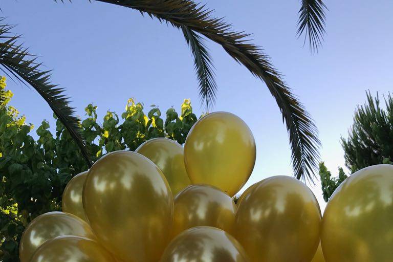 Balões p todas comemorações