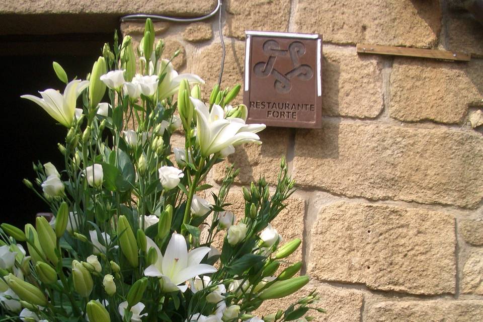 Decoração de espaços