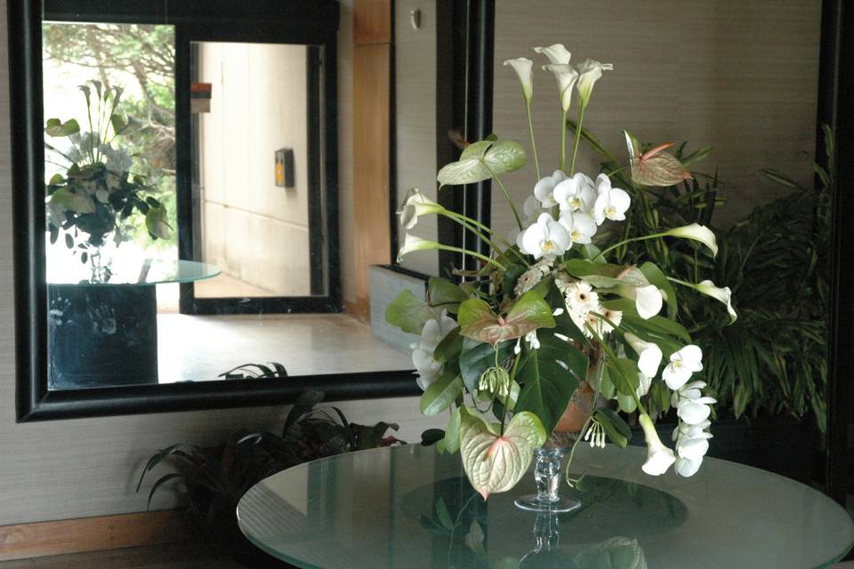 Decoração de espaços